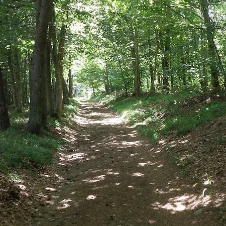 Petite Maison Au Calme Avec Vue Magnifique ! * ル・シャンボン・シュル・リニョン