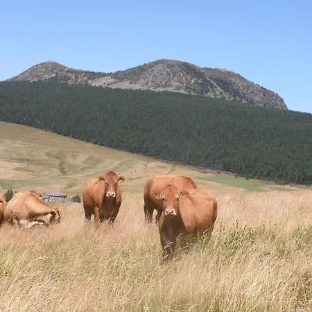 Petite Maison Au Calme Avec Vue Magnifique ! Шамбон-сюр-Линьон