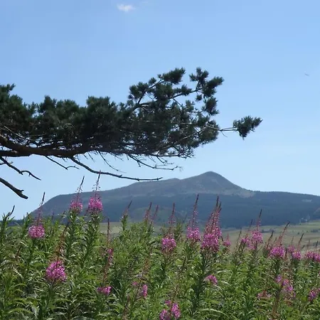 Petite Maison Au Calme Avec Vue Magnifique ! Дом отдыха *