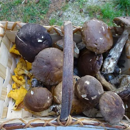 別荘 Petite Maison Au Calme Avec Vue Magnifique !