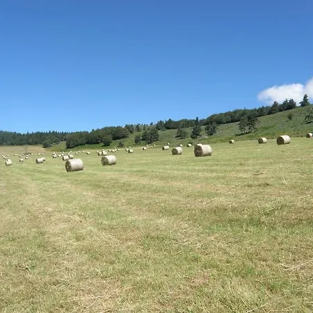 Petite Maison Au Calme Avec Vue Magnifique !